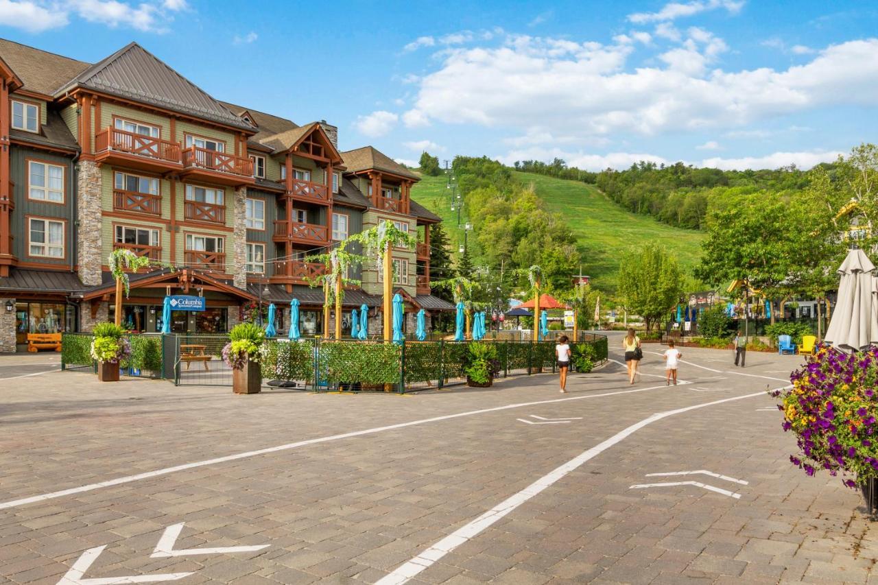 Modern Mountainside Ski In Ski Out 87111 Blue Mountains Extérieur photo