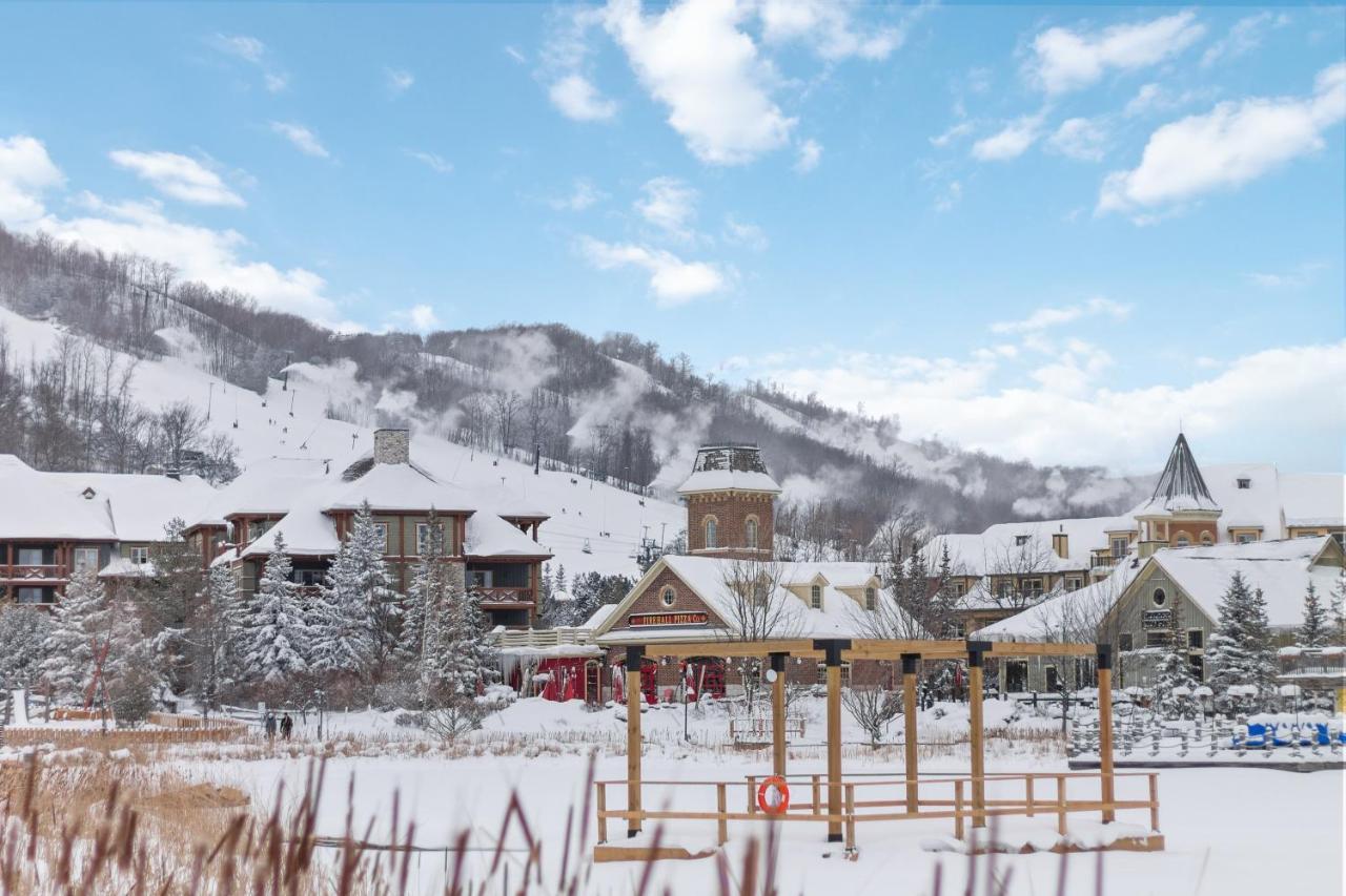 Modern Mountainside Ski In Ski Out 87111 Blue Mountains Extérieur photo