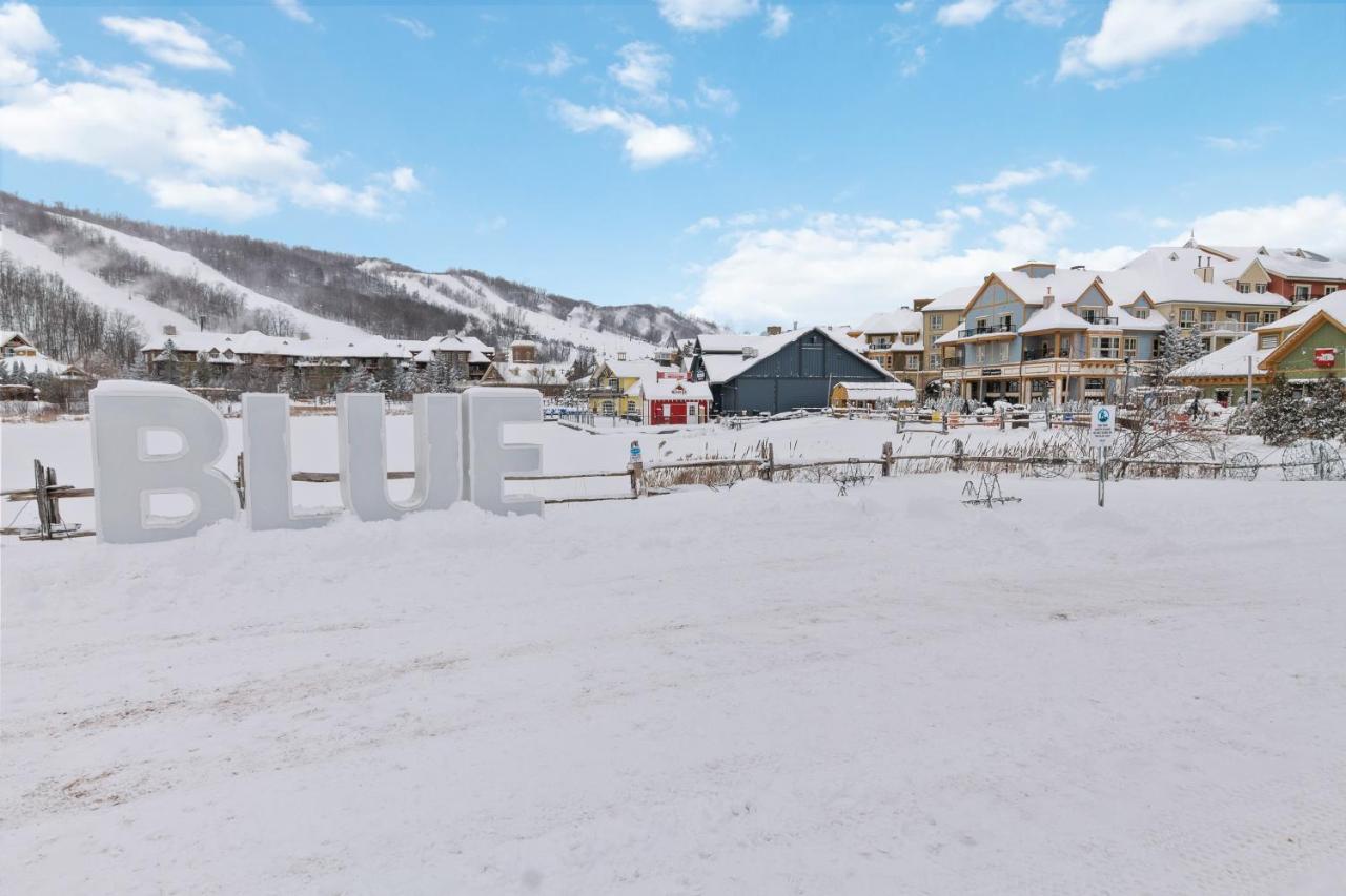 Modern Mountainside Ski In Ski Out 87111 Blue Mountains Extérieur photo